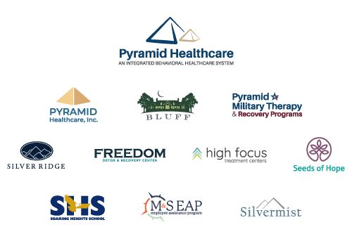 Combination of all logos under the Pyramid Healthcare brand.