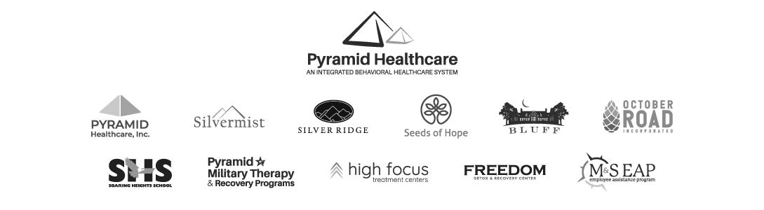 Combination of all logos under the Pyramid Healthcare brand.