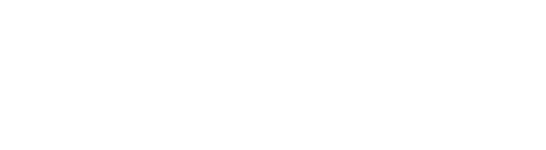 Combination of all logos under the Pyramid Healthcare brand.