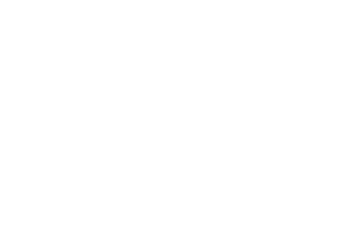 Combination of all logos under the Pyramid Healthcare brand.